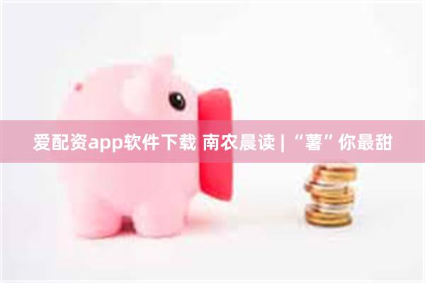 爱配资app软件下载 南农晨读 | “薯”你最甜