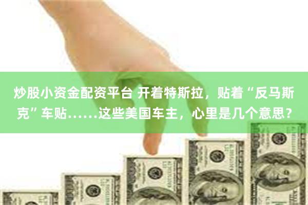 炒股小资金配资平台 开着特斯拉，贴着“反马斯克”车贴……这些美国车主，心里是几个意思？