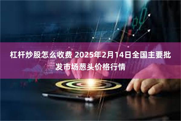 杠杆炒股怎么收费 2025年2月14日全国主要批发市场葱头价格行情