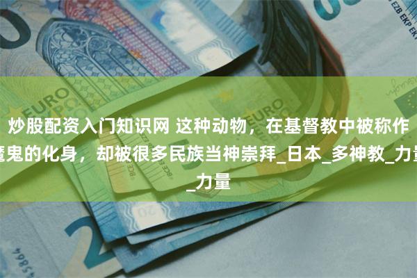 炒股配资入门知识网 这种动物，在基督教中被称作魔鬼的化身，却被很多民族当神崇拜_日本_多神教_力量