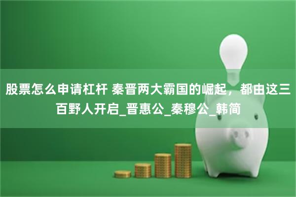 股票怎么申请杠杆 秦晋两大霸国的崛起，都由这三百野人开启_晋惠公_秦穆公_韩简