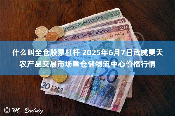 什么叫全仓股票杠杆 2025年6月7日武威昊天农产品交易市场暨仓储物流中心价格行情