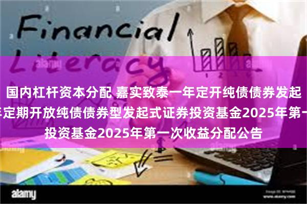 国内杠杆资本分配 嘉实致泰一年定开纯债债券发起式: 嘉实致泰一年定期开放纯债债券型发起式证券投资基金2025年第一次收益分配公告