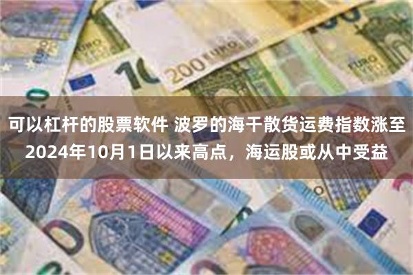可以杠杆的股票软件 波罗的海干散货运费指数涨至2024年10月1日以来高点，海运股或从中受益