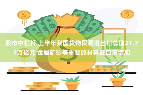 股市中杠杆 上半年我国货物贸易进出口总值21.79万亿元 金属矿砂等重要原材料进口量增加