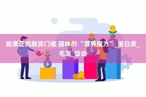 股票正规融资门槛 猫咪的 “营养魔方”_蛋白质_毛发_饭盆