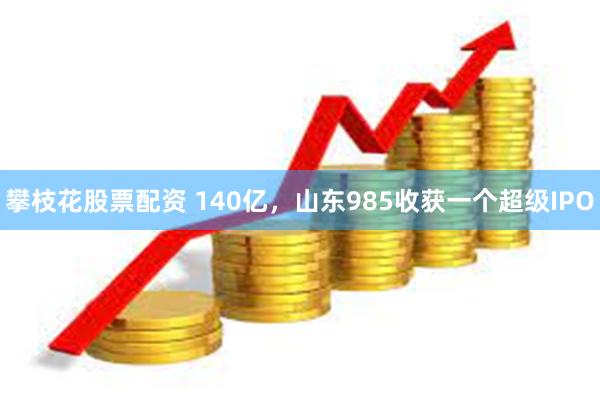 攀枝花股票配资 140亿，山东985收获一个超级IPO