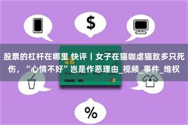 股票的杠杆在哪里 快评丨女子在猫咖虐猫致多只死伤，“心情不好”岂是作恶理由_视频_事件_维权