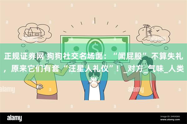 正规证券网 狗狗社交名场面：“闻屁股” 不算失礼，原来它们有套 “汪星人礼仪”！_对方_气味_人类
