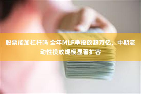 股票能加杠杆吗 全年MLF净投放超万亿，中期流动性投放规模显著扩容